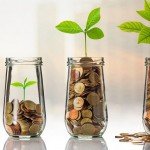 <strong>Přečtěte si:</strong> <a href="https://finex.cz/rubrika/jak-vydelat-penize/" target="_blank" rel="noopener">Jak vydělat peníze na internetu?</a>