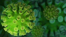 koronavirus